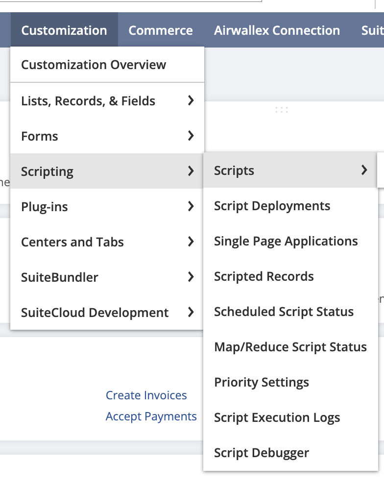 NetSuite Scripting.png