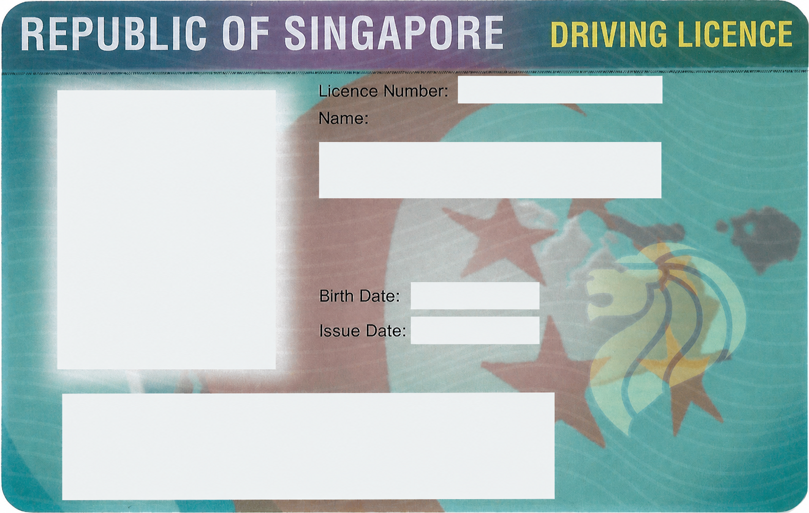 redacted_driving_licence_ebc9706ddc054fdab054dfdfbf4ca32b.png