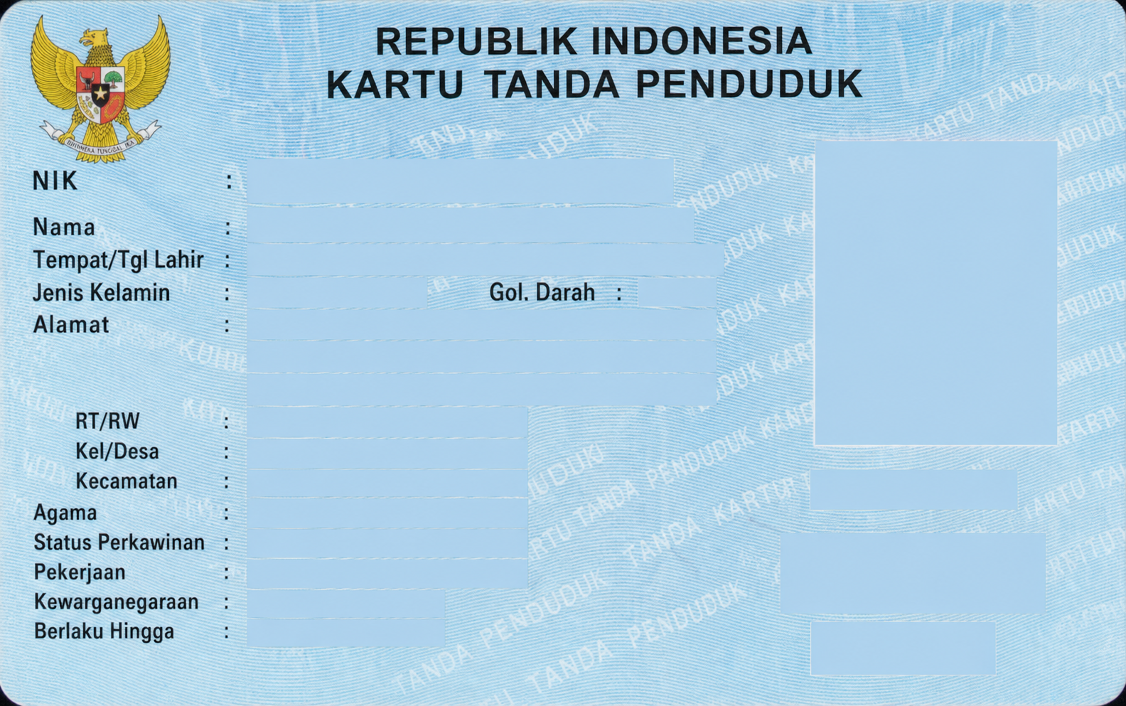 redacted_identity_card_5afca8b4086943179079b677ce3438c4.png